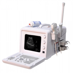 Laptop Ultrasound Scanner LUSG-1000C